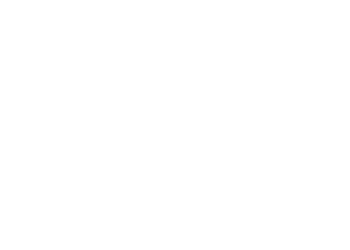 FlowMIM logo blanco